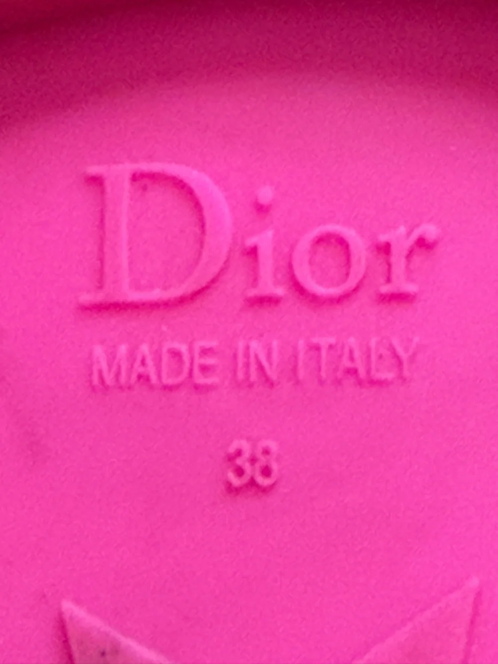Dior stylish women